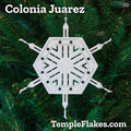 Colonia Juarez Temple Christmas Ornament